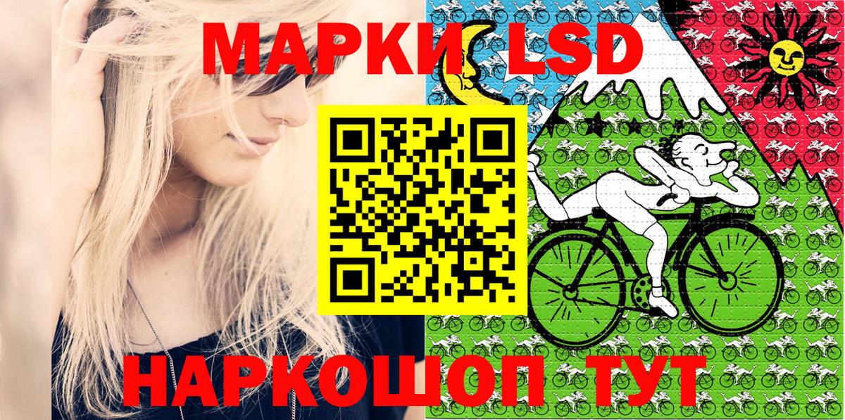 Бошки Шишки Петропавловск-Камчатский