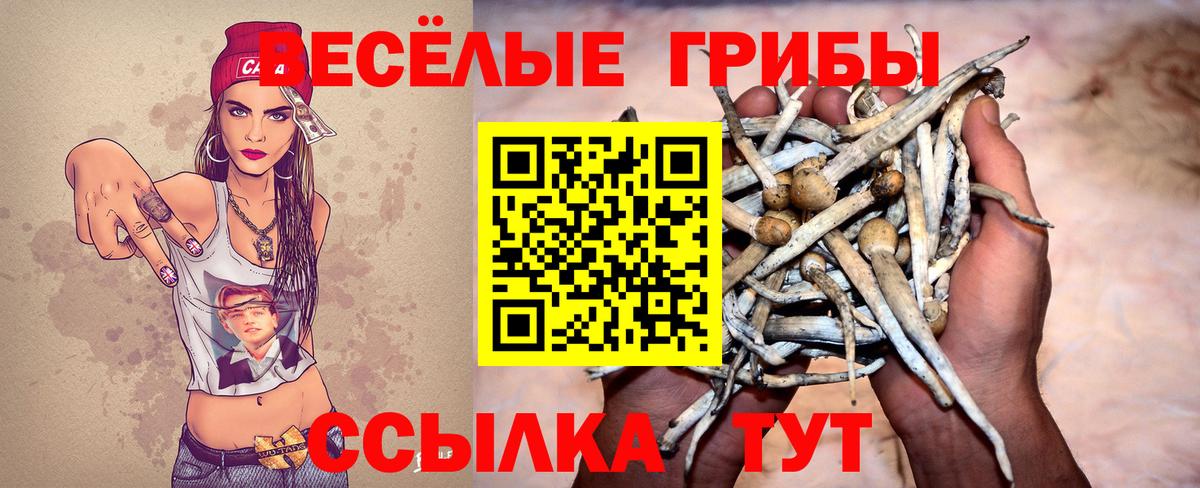 Псилоцибиновые грибы ЛСД  Вход с VPN  что такое наркотик  Петропавловск-Камчатский 